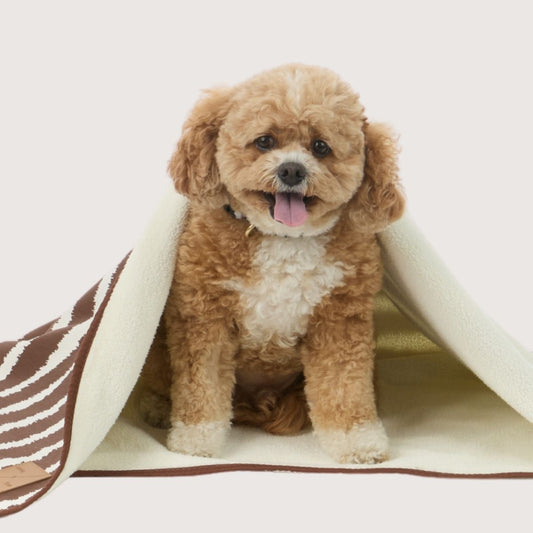 Pet Blanket with Fleece - Cocoa Artisan Print