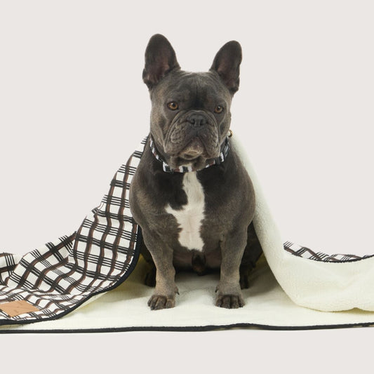 Pet Blanket with Fleece - Cocoa/ Black Plaid Print