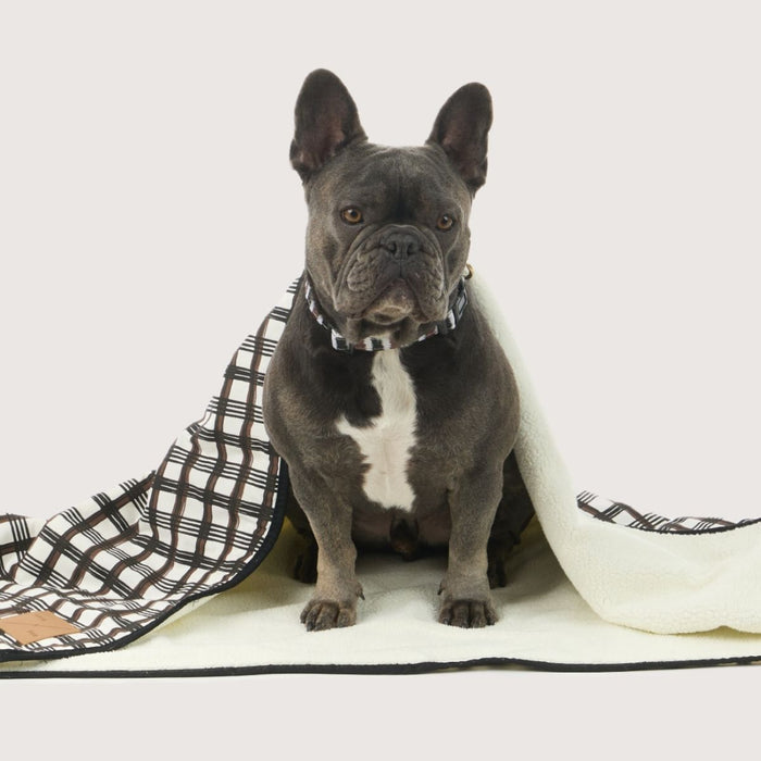 Pet Blanket with Fleece - Cocoa/ Black Plaid Print