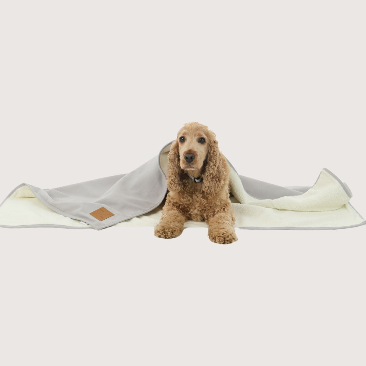 Pet Blanket with Fleece - Grey