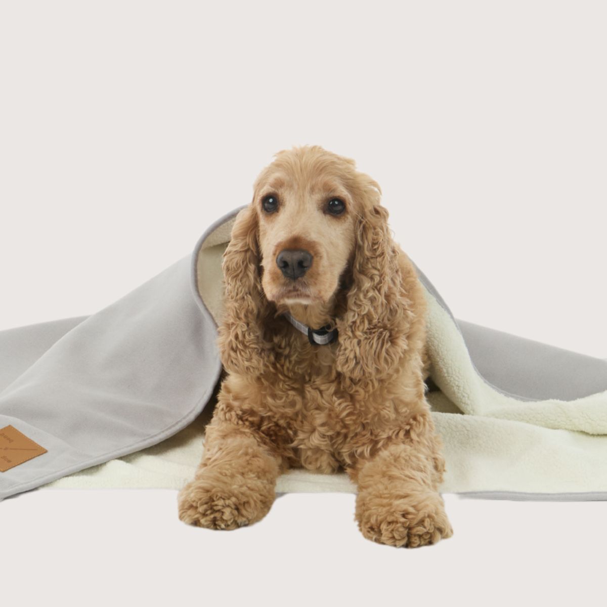 Pet Blanket with Fleece - Grey