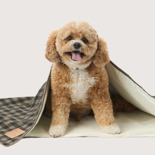 Pet Blanket with Fleece - Mocha/ Black Gingham Print