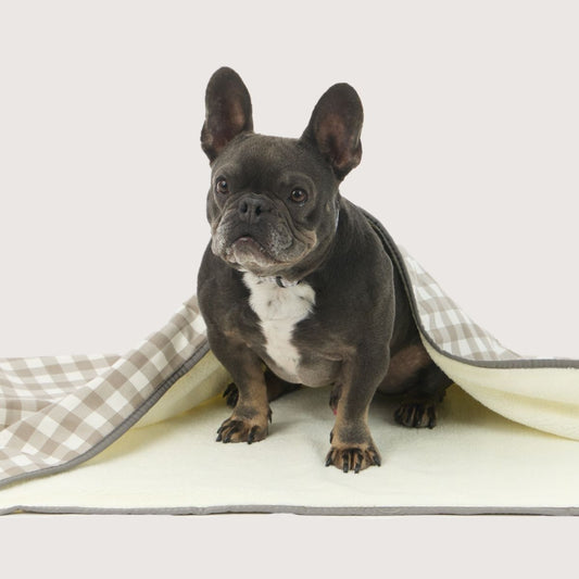 Pet Blanket with Fleece - Mocha Gingham Print