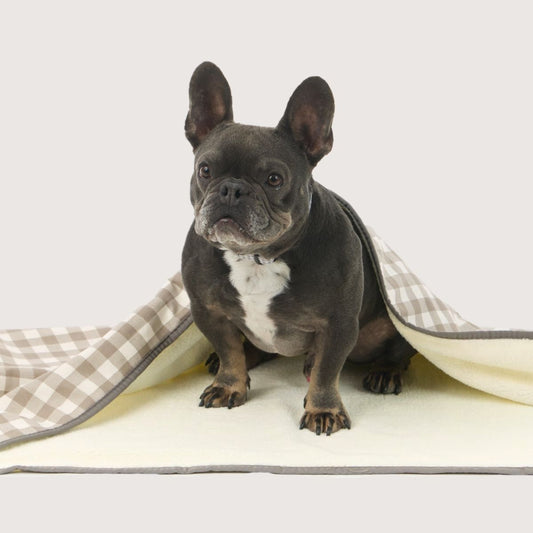 Pet Blanket with Fleece - Mocha Gingham Print