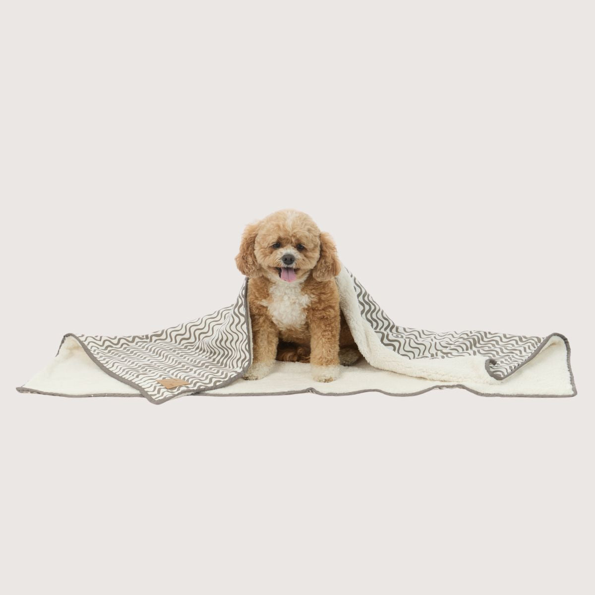 Pet Blanket with Fleece - Mocha Wave Print