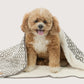 Pet Blanket with Fleece - Mocha Wave Print