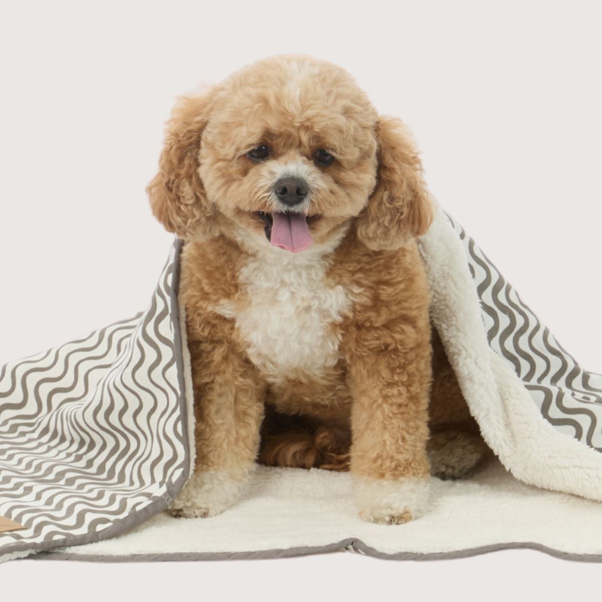 Pet Blanket with Fleece - Mocha Wave Print