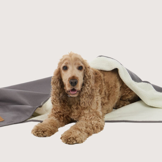 Pet Blanket with Fleece - Mocha
