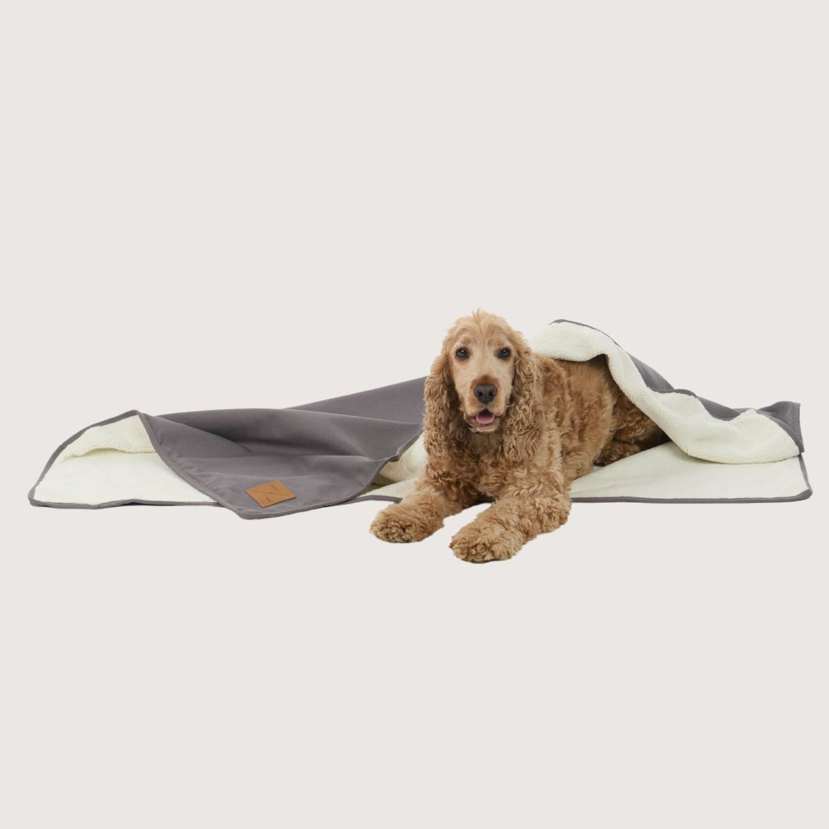 Pet Blanket with Fleece - Mocha