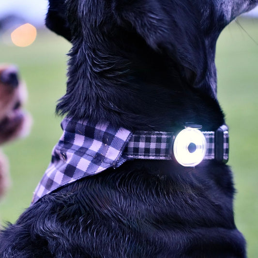 Premium Pet Safety Light