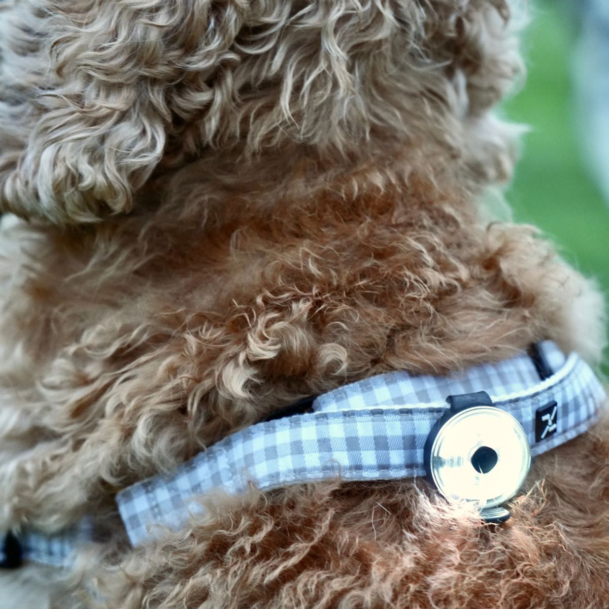 Premium Pet Safety Light