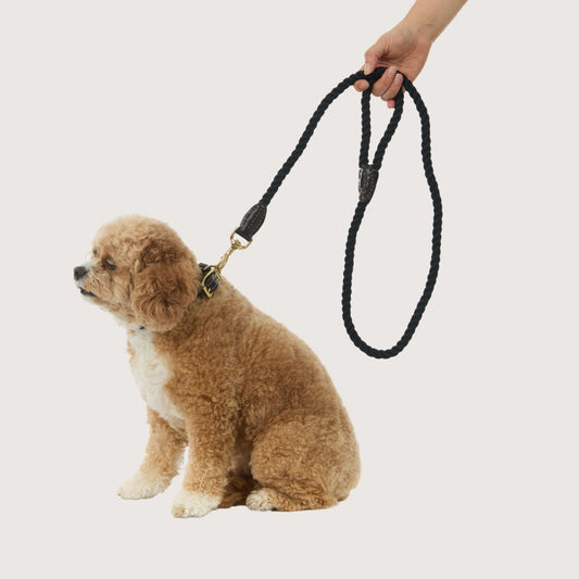 Rope Dog Lead (1.2m) - Leather & Brass Fittings - Black