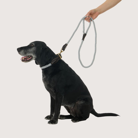Rope Dog Lead (1.2m) - Leather & Brass Fittings - Grey