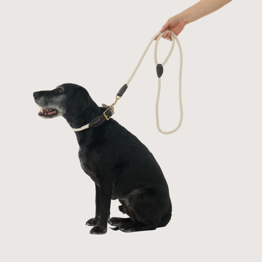 Rope Dog Lead (1.2m) - Leather & Brass Fittings - Natural