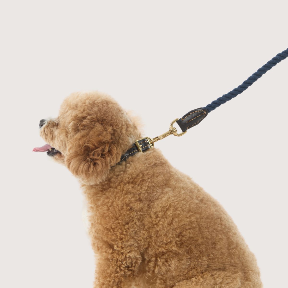 Rope Dog Lead (1.2m) - Leather & Brass Fittings - Navy