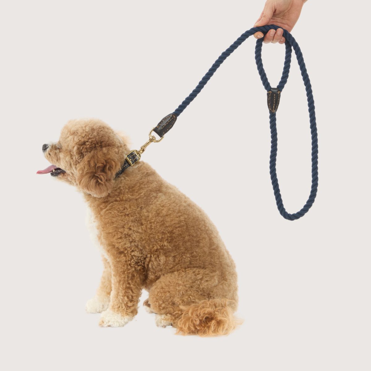Rope Dog Lead (1.2m) - Leather & Brass Fittings - Navy