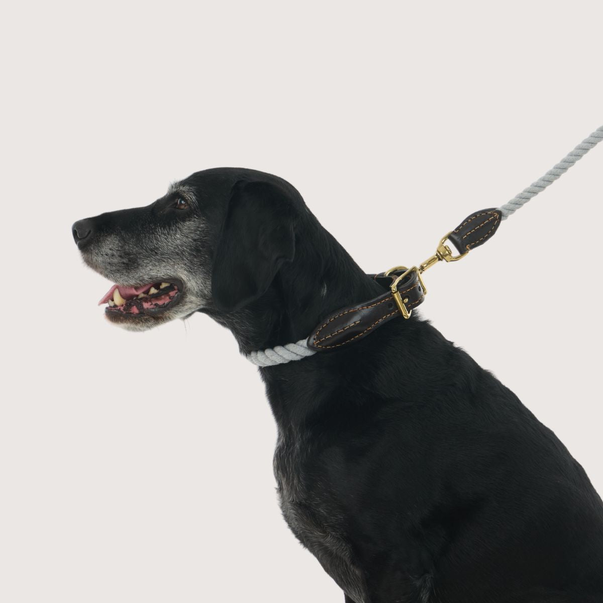 Rope Dog Lead (1.2m) - Leather & Brass Fittings - Grey