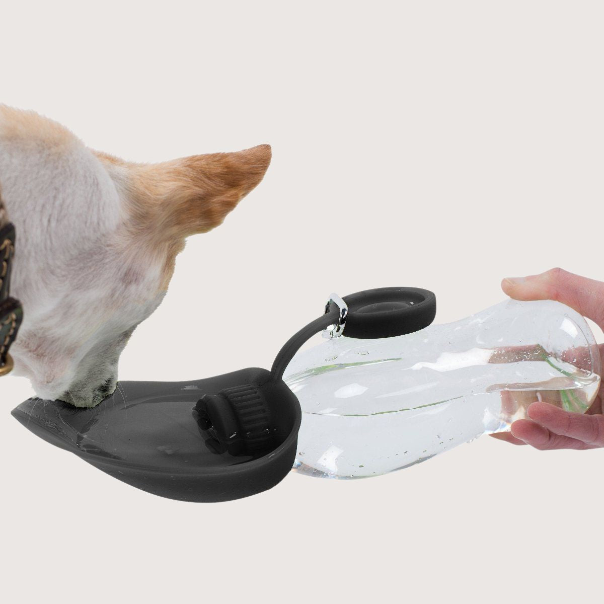 Mog and Bone Designer Dog Travel Feeder