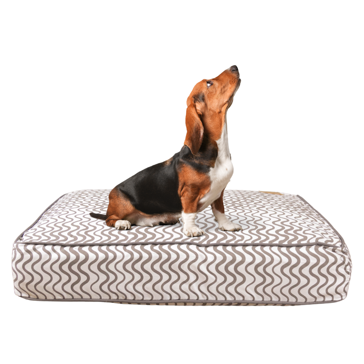 Classic Cushion Dog Bed - Mocha Wave Print