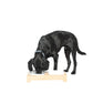 Mog & Bone Pet Products Bamboo & Melamine Dog Bowls