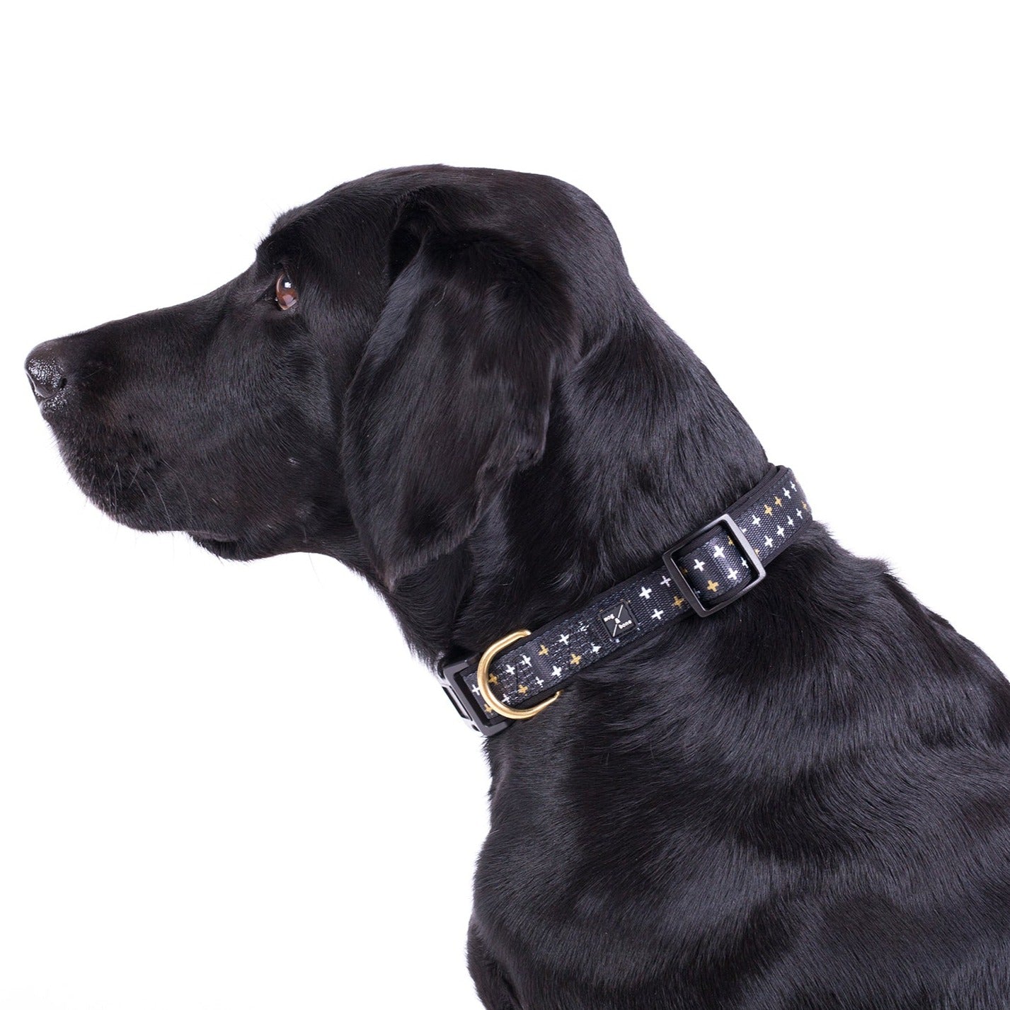 Neoprene Dog Collar - Black Metallic Cross Print