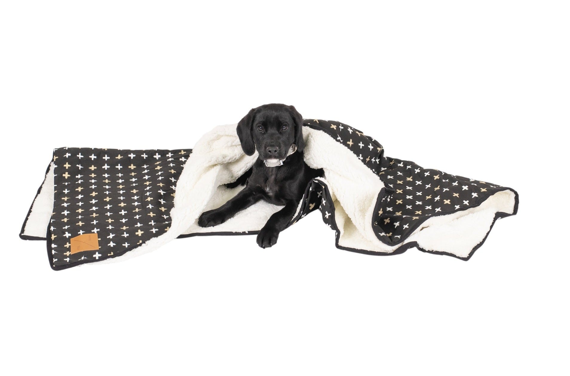 Black dog outlet blanket