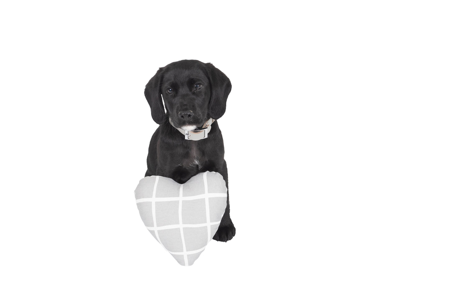 Heart Shaped Soft Dog Toy - Grey Check Print