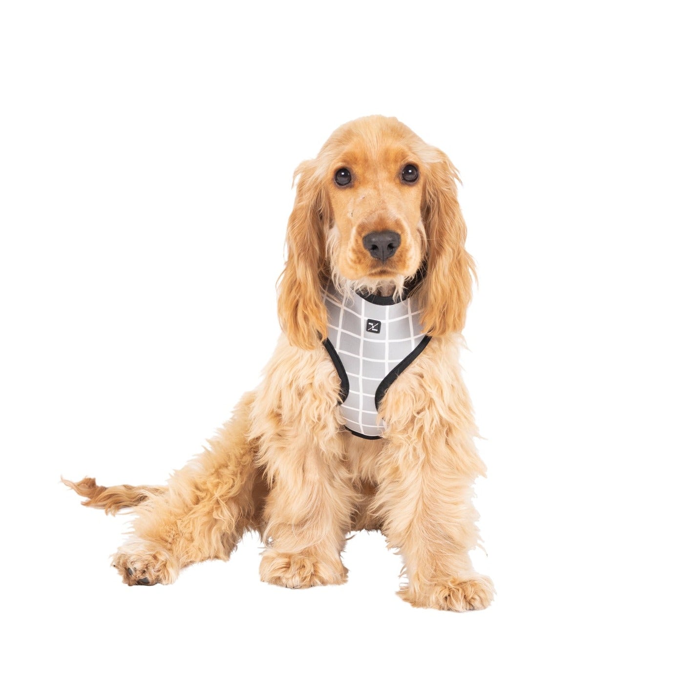 Neoprene Dog Harness - Grey Check Print
