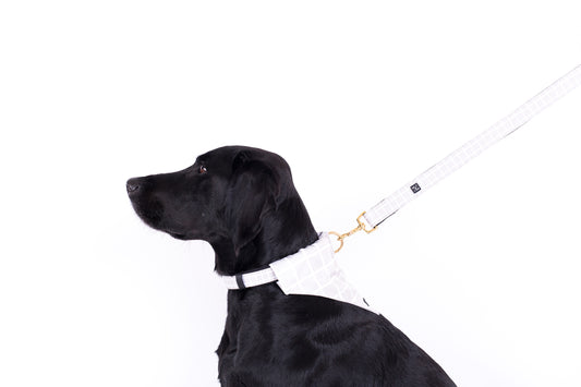 Neoprene Dog Lead - Grey Check Print