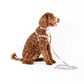Mog and Bone Classic Hemp Dog Lead, Hemp Dog Collar, Hemp Dog Harness- Black Mosaic Print