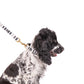 Mog and Bone Classic Hemp Dog Lead and Dog Collar - Pebble Black Brush Stroke Print