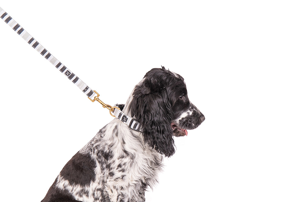 Mog and Bone Classic Hemp Dog Lead and Dog Collar - Pebble Black Brush Stroke Print