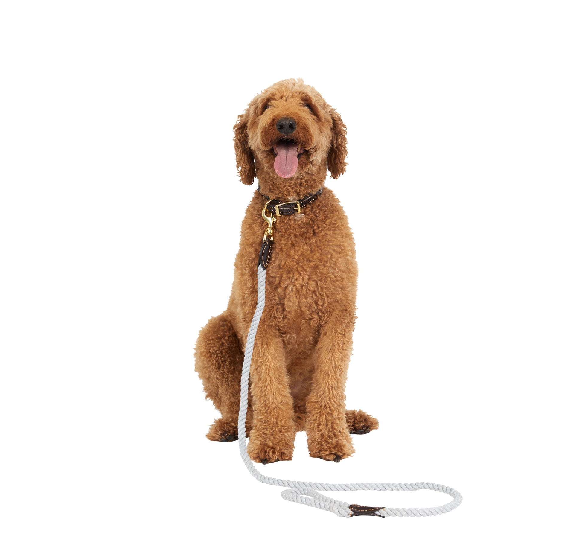 Mog and Bone Classic Rope Dog Lead (1.2m) and Rope Collar - Grey