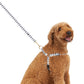 Mog and Bone Classic Hemp Dog Lead and Hemp Dog Harness- Charcoal Hamptons Stripe Print