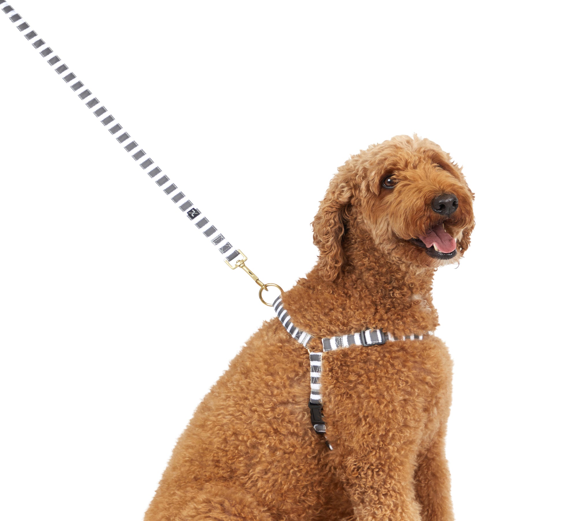 Mog and Bone Classic Hemp Dog Lead and Hemp Dog Harness- Charcoal Hamptons Stripe Print
