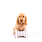 Printed Bone Soft Dog Toy - Latte Hamptons Stripe Print