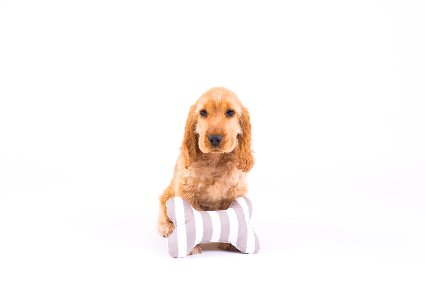 Printed Bone Soft Dog Toy - Latte Hamptons Stripe Print