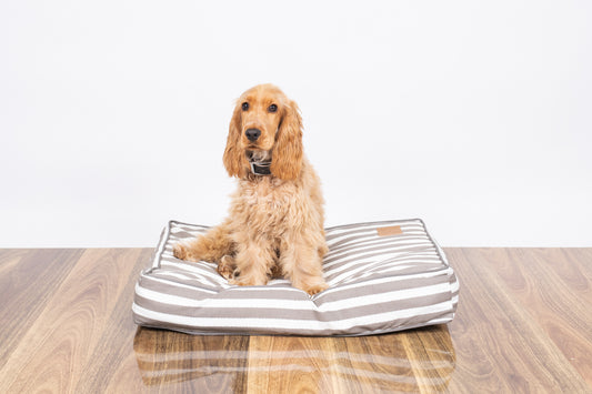Mog and Bone Classic Cushion Dog Bed - Latte Hampton Stripe Print