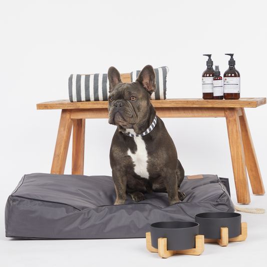 Cushion Dog Bed - Waterproof