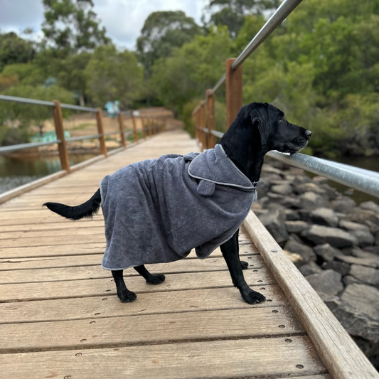 Hooded Dog Towel