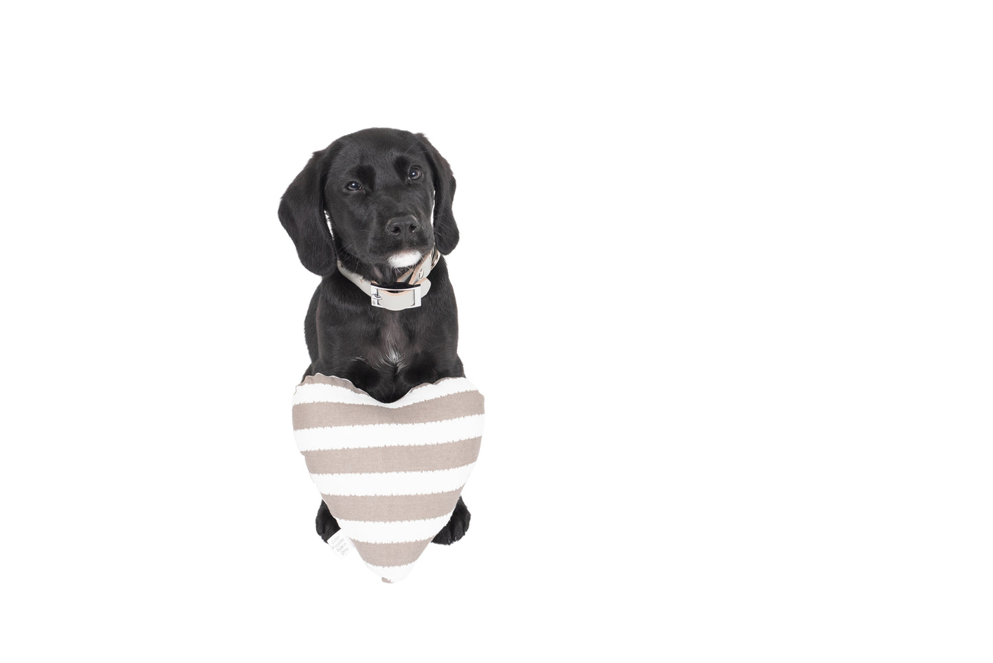 Heart Shaped Soft Dog Toy - Latte Hamptons Stripe Print