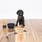 Multi-Function Rope Dog Lead (1.8m) - Natural