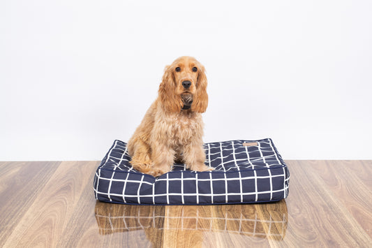 Mog and Bone Classic Cushion Dog Bed - Navy Check Print