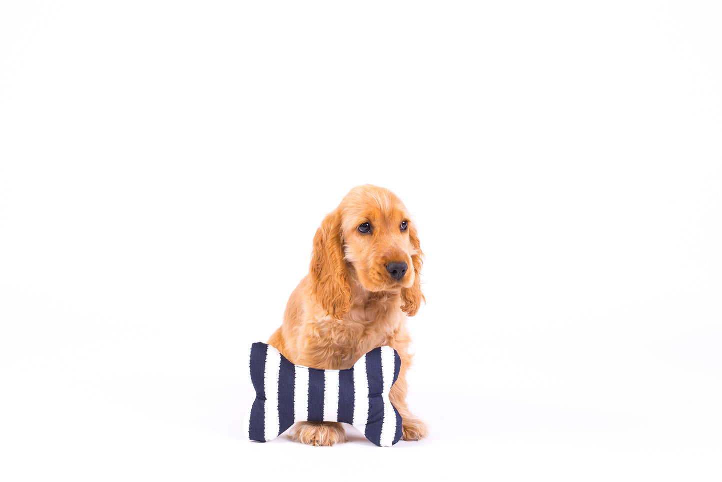 Printed Bone Soft Dog Toy - Navy Hamptons Stripe Print