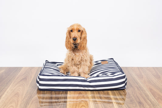 Mog and Bone Classic Cushion Dog Bed - Navy Hamptons Stripe Print