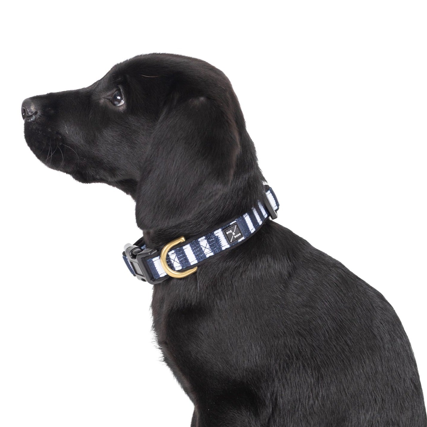Neoprene Dog Collar - Navy Hamptons Stripe Print