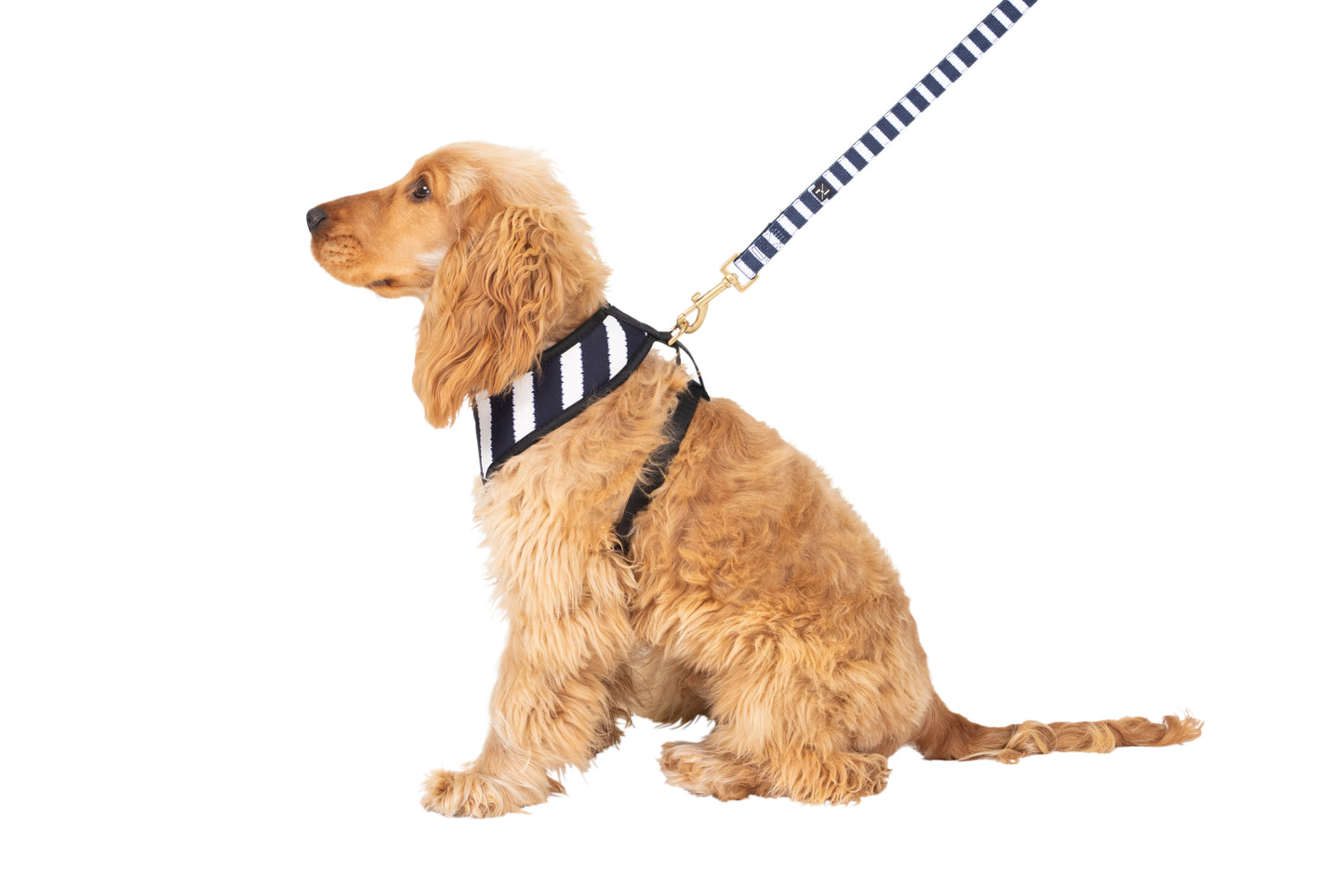 Neoprene Dog Harness - Navy Hamptons Stripe Print