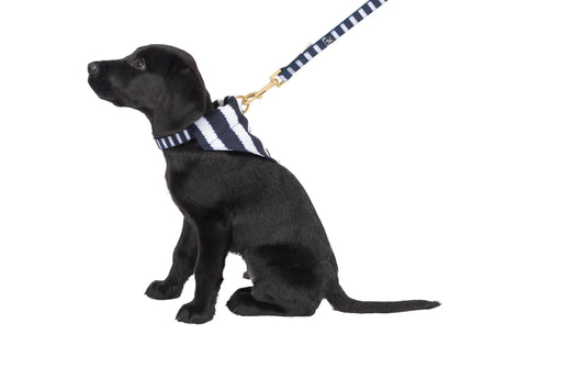 Neoprene Dog Lead - Navy Hamptons Stripe Print
