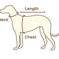 Neoprene Dog Harness - Navy Check Print