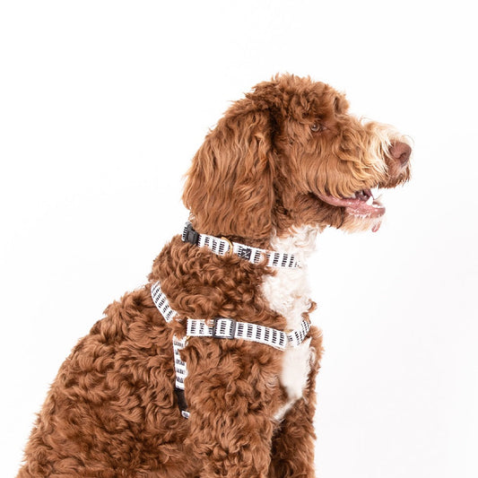 Hemp Dog Harness - Black Mosaic Print